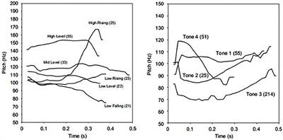 Adult Learning of Novel Words in a Non-native Language: Consonants, Vowels, and Tones